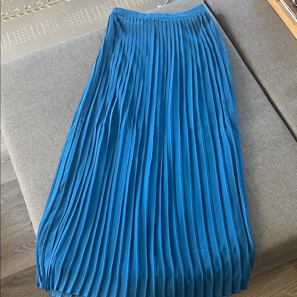 Sabine Vibrant Blue Pleated Maxi Skirt